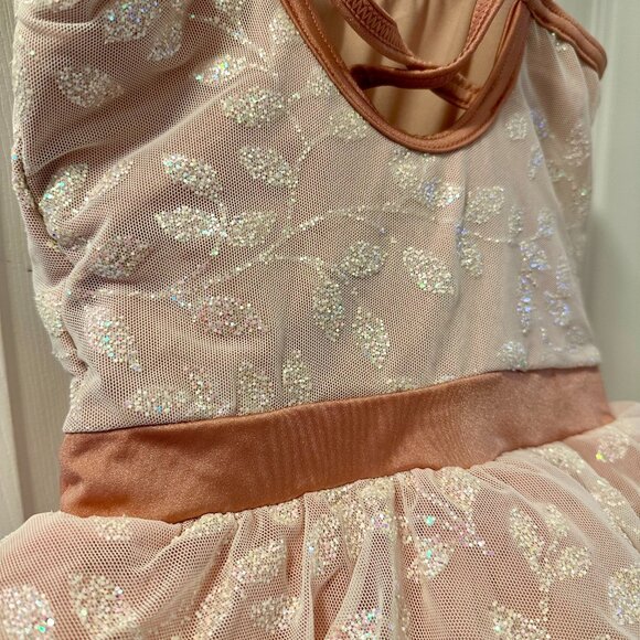 Rose Petal Pink Tutu Ballet Dress - Picture 5 of 6